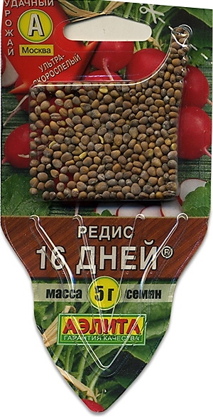  16 
