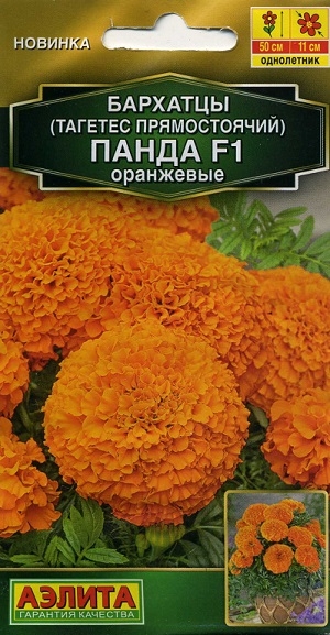  ( )  F1 