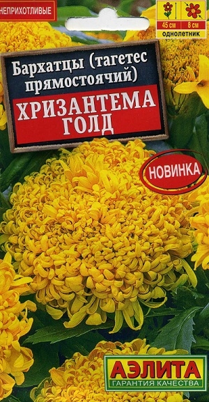  ( )  