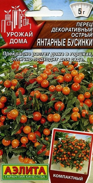 ����� ������������ ������ �������� �������