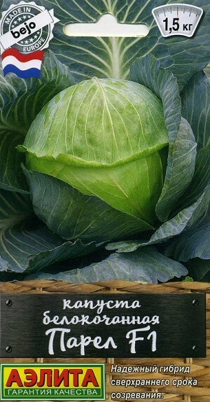 ������� ������������ ����� F1