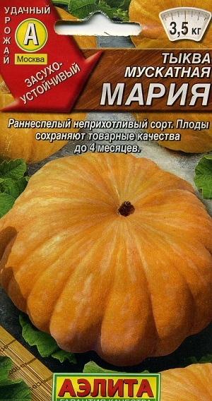 ����� ��������� �����