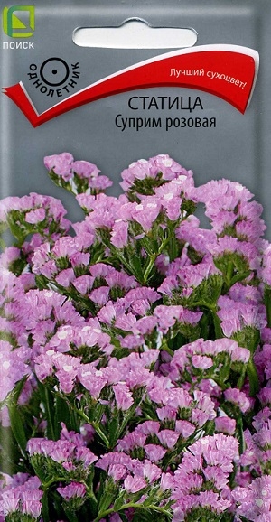 ������� ������ ������� �����