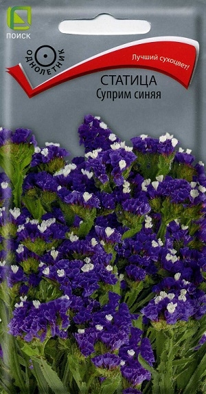 ������� ������ ����� �����