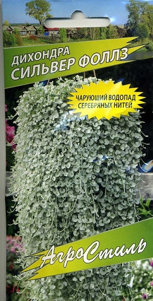 �������� ������� ����� ���������