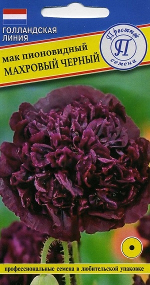 ��� ����������� �������� ������ ������� ������