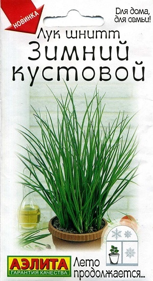 ��� ����� ������ ��������