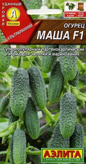 ������ ���� F1