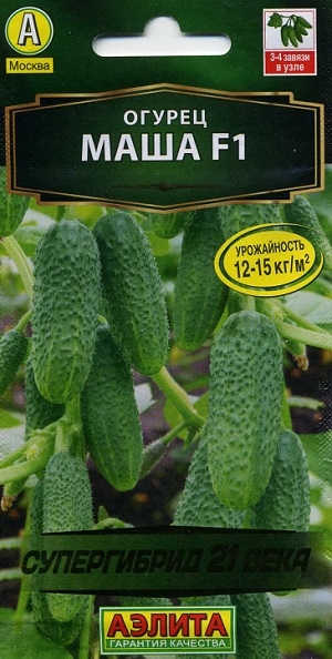 ������ ���� F1