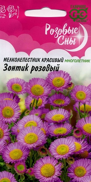 �������������� �������� ����������� ������ ������� (������)