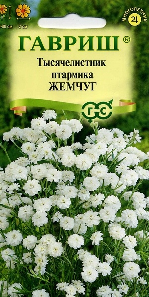 ������������� �������� ������ (������)