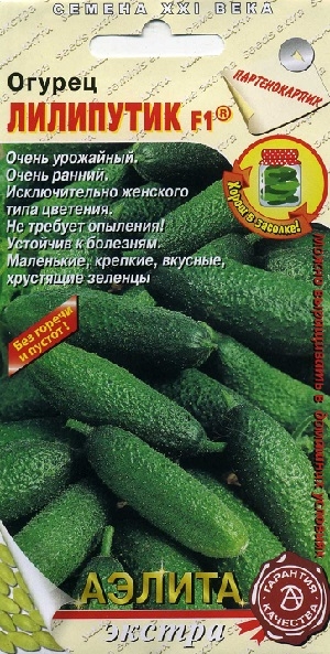 ������ ��������� F1�