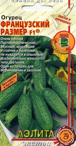 ������ ����������� ������ F1�