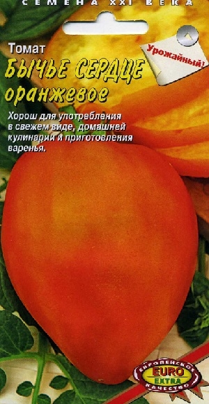 ����� ����� ������ ���������