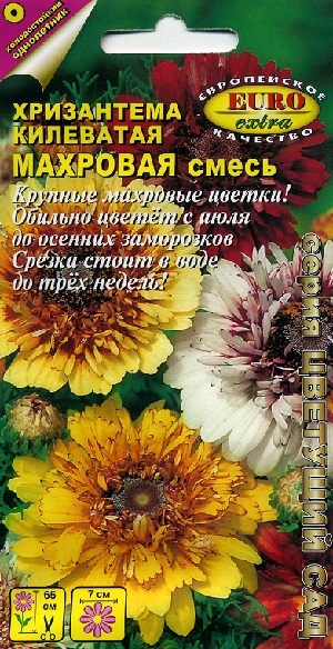 ���������� ��������� �������� �����