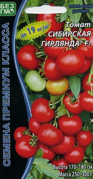 ����� ��������� �������� F1