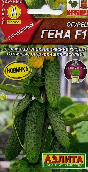 ������ ���� F1