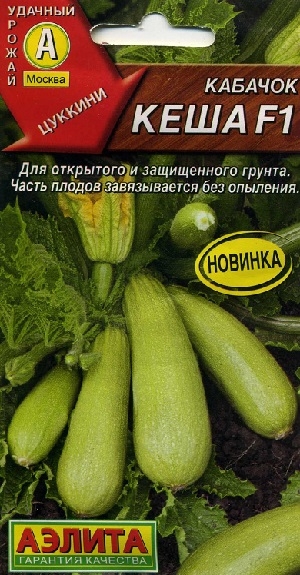 ������� ���� F1