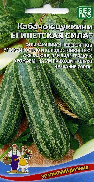 �������-������� ���������� ����