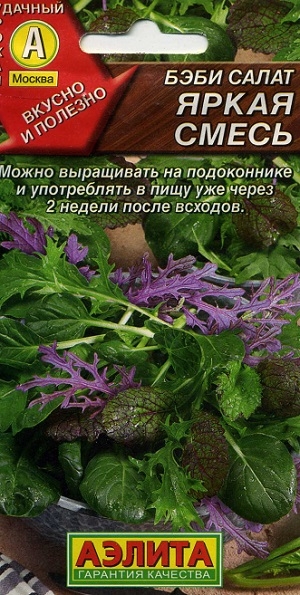 ���� ����� ����� �����