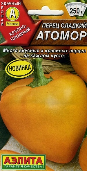 ����� ������� ������