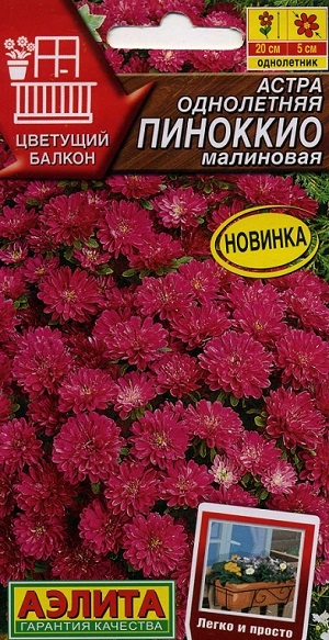 ����� ���������� �������� ���������