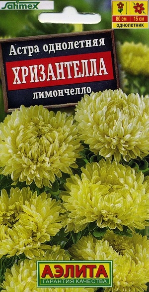 ����� ���������� ����������� ����������