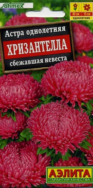 ����� ���������� ����������� ��������� �������