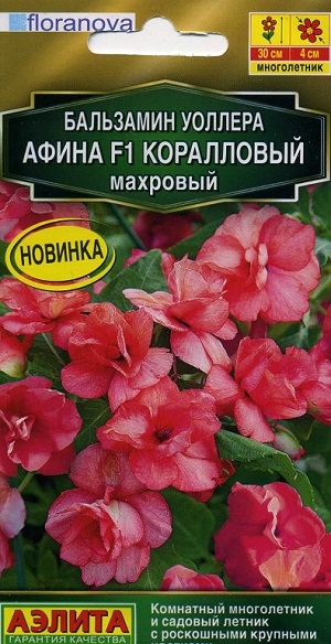 ��������� ������� ����� F1 ���������� ��������