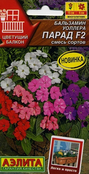 ��������� ������� ����� F2 ����� ������