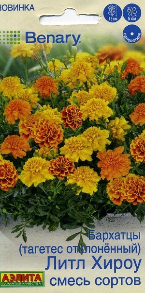 �������� (������� �����������) ���� ����� ����� ������