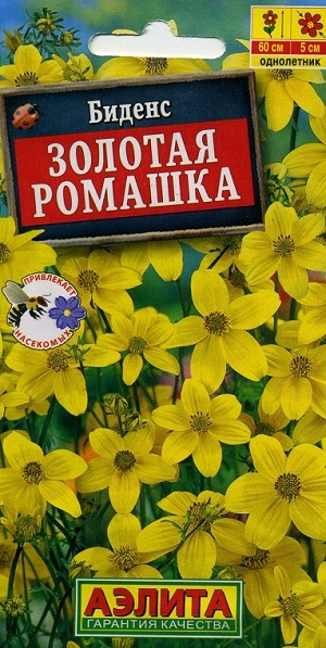 ������ ������� �������