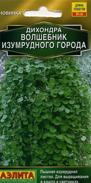 �������� ��������� ����������� ������