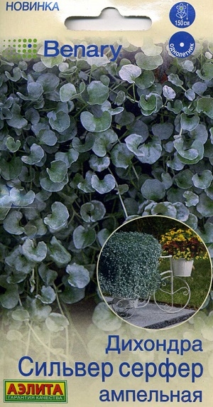 �������� ������� ������ ���������