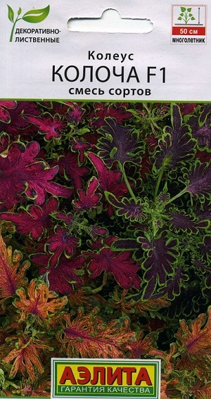 ������ ������ F1 ����� ������