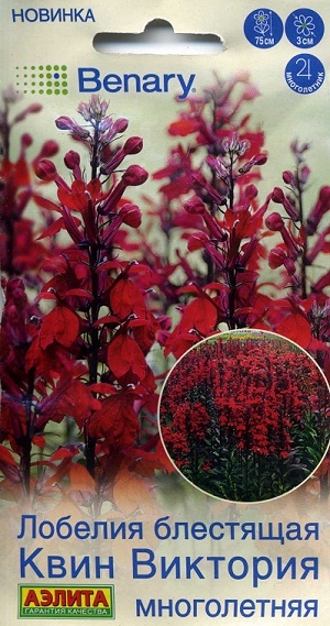 ������� ��������� ���� �������� �����������