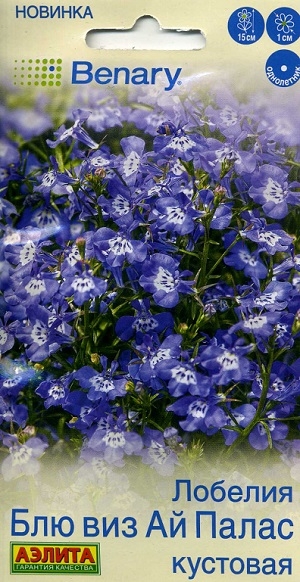 ������� ��� ��� �� ����� ��������