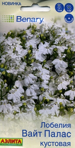 ������� ���� ����� ��������