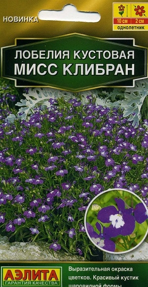 ������� �������� ���� �������