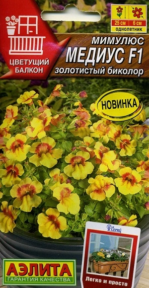 ������� ������ F1 ���������� �������