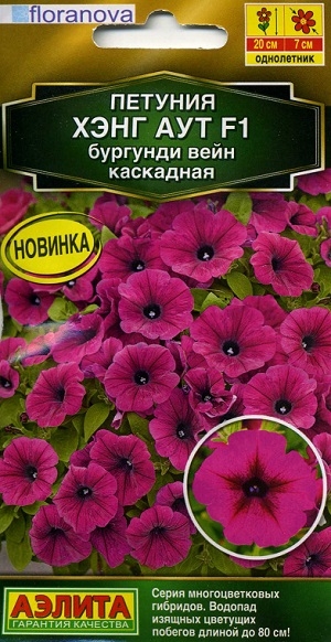 ������� ���� ��� F1 �������� ���� ���������