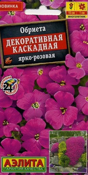 ������� ������������ ��������� ����-�������