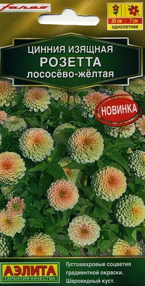 ������ ������� ������� �������-�����