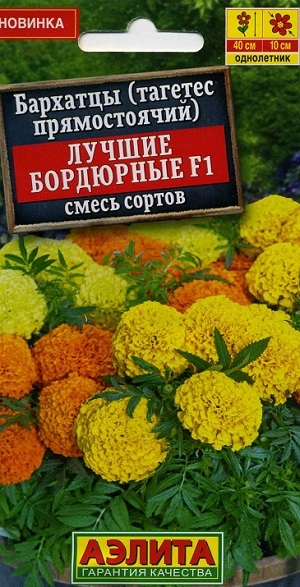 �������� (������� ������������) ������ ��������� F1 ����� ������