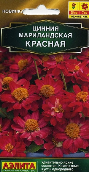 ������ ������������ �������