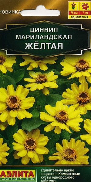 ������ ������������ �����