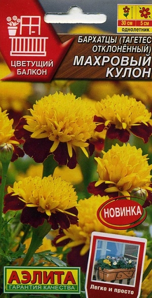 �������� (������� �����������) �������� �����