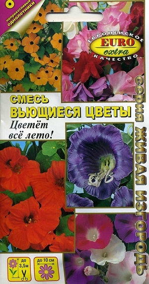 �������� ����� �����