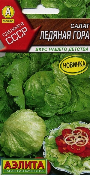 ����� ������� ����