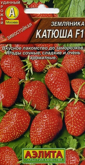 ��������� ������ F1